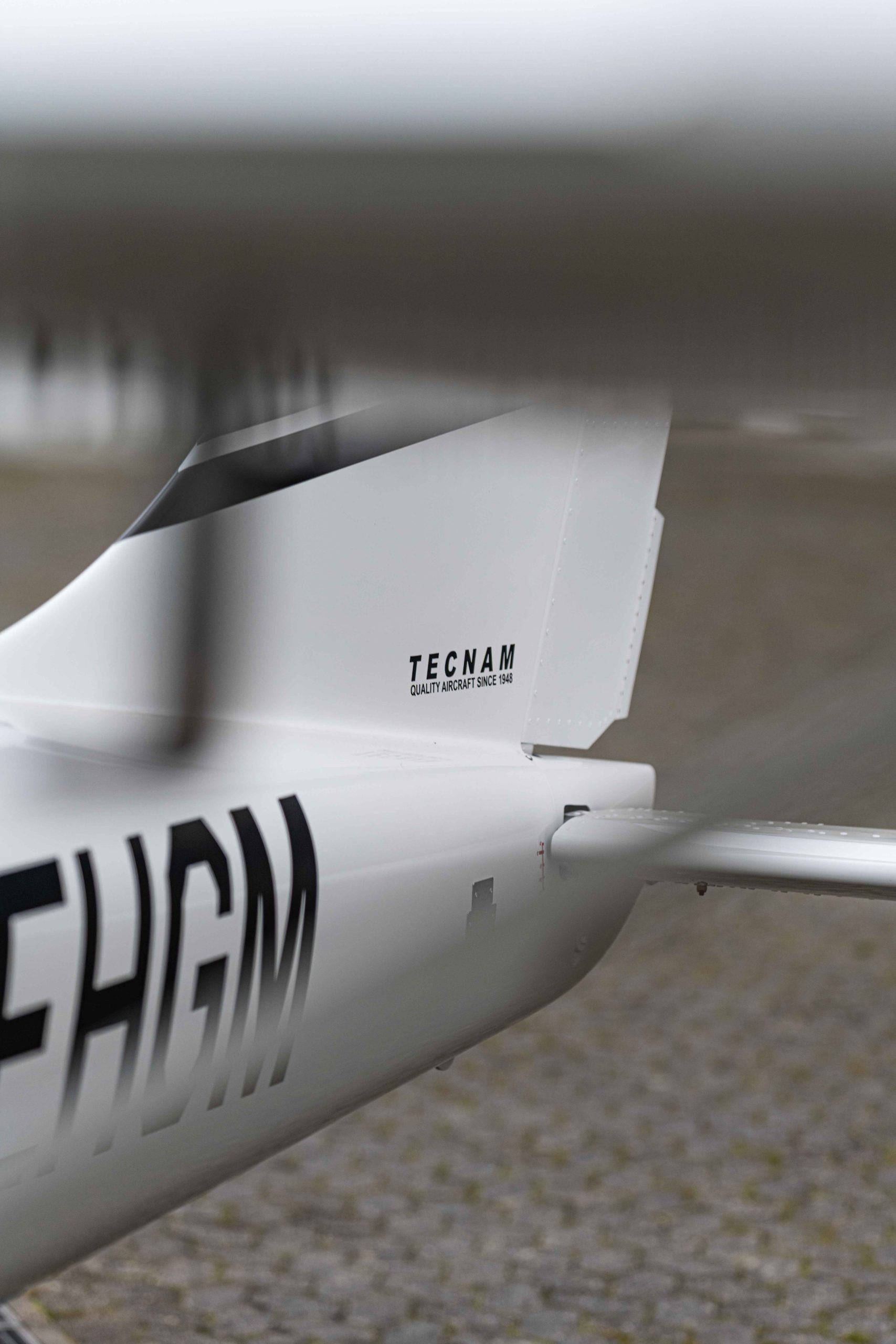 Detailaufnahme Leitwerk der Tecnam P2008JC mit Logo und Kennung D-EHGM